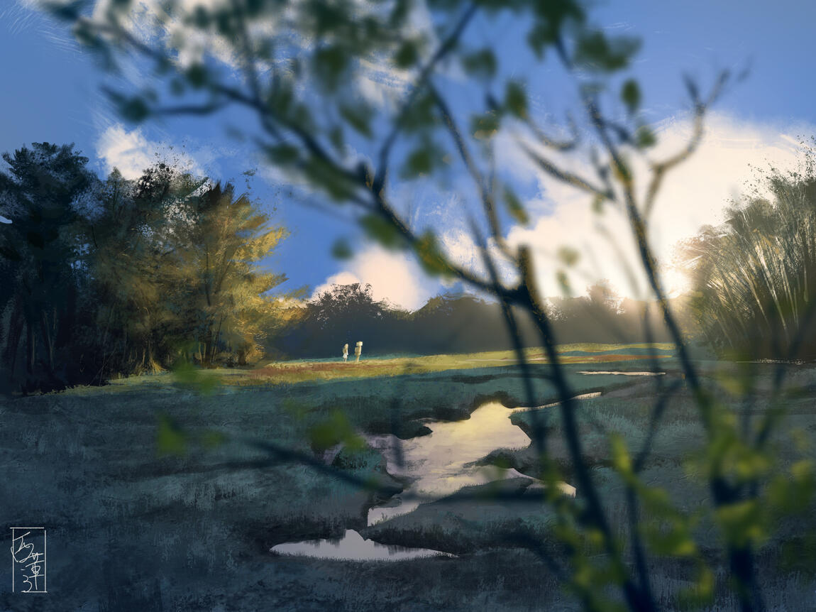 Marshes